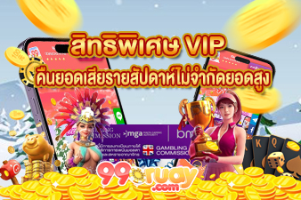 สิทธิพิเศษ VIP